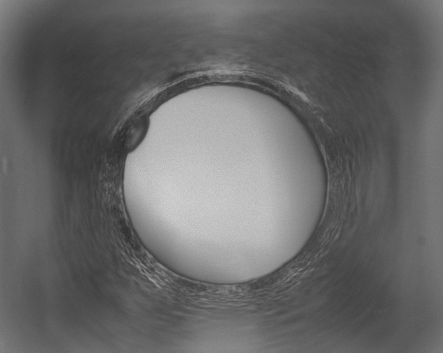X0000054431255200507290943