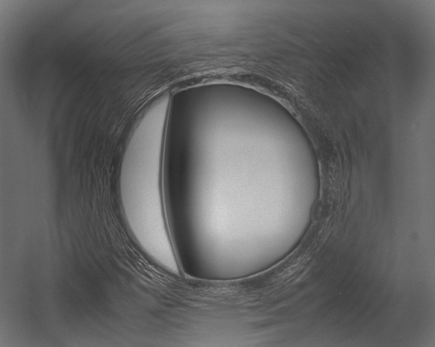 X0000054431257200507290943