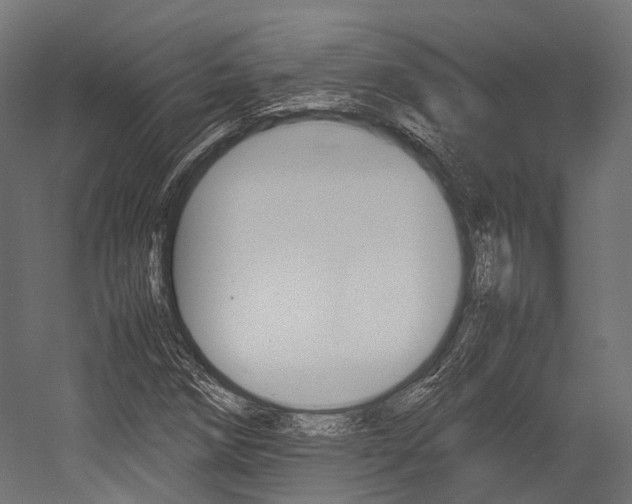 X0000054431258200507290943