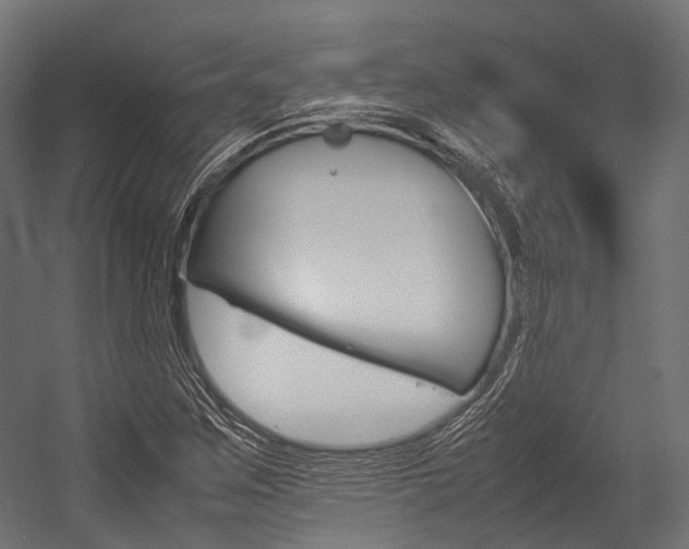 X0000054431259200507290943