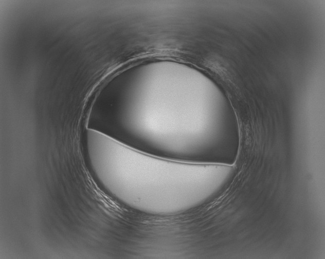 X0000054431260200507290943