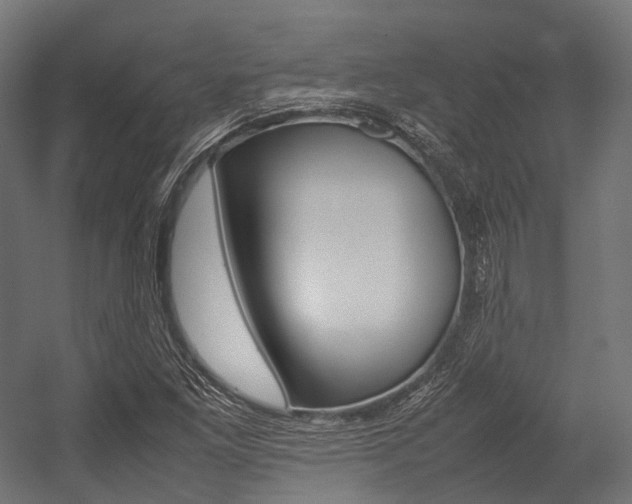X0000054431261200507290943