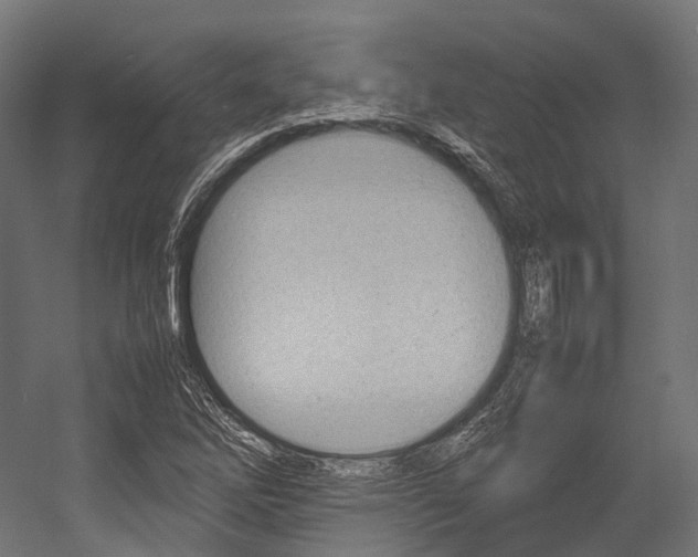 X0000054431262200507290943
