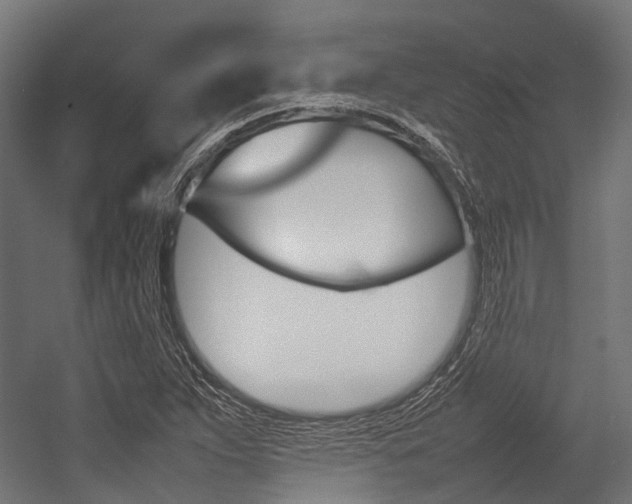 X0000054431263200507290943