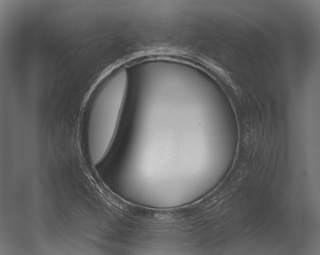 X0000054431264200507290943