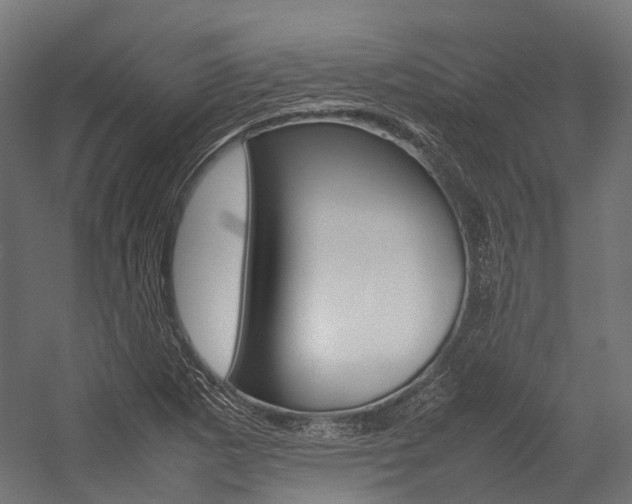 X0000054431265200507290942