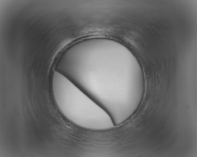 X0000054431267200507290942