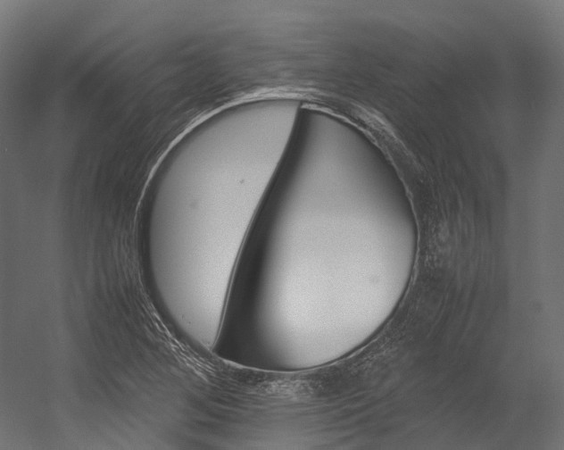 X0000054431268200507290942