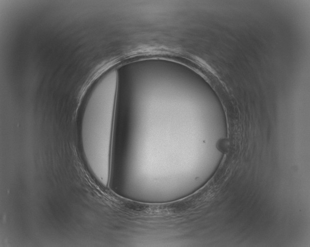X0000054431269200507290942