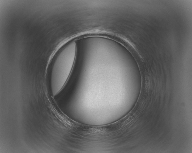 X0000054431270200507290942