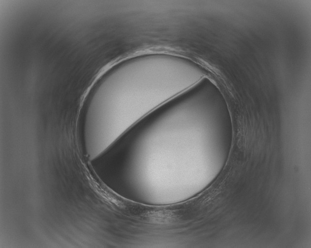 X0000054431272200507290942