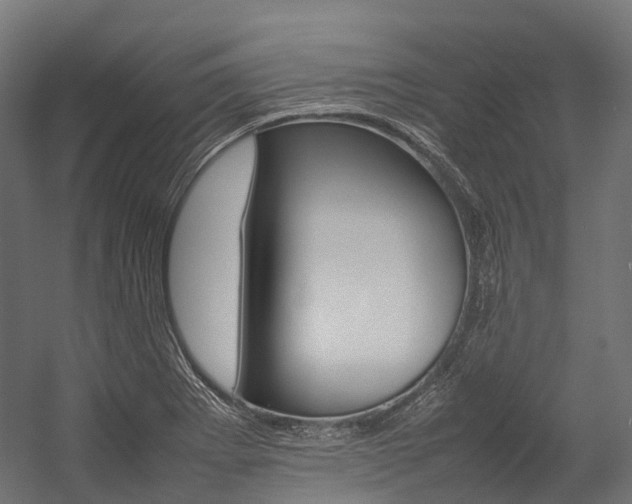X0000054431273200507290942