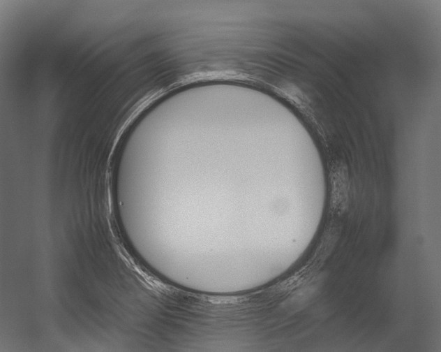 X0000054431274200507290942