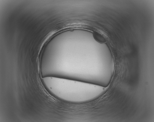 X0000054431275200507290942