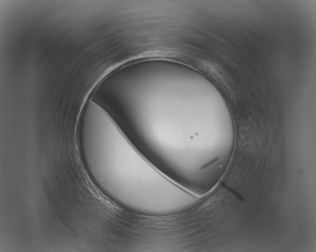 X0000054431276200507290942