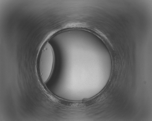 X0000054431277200507290942