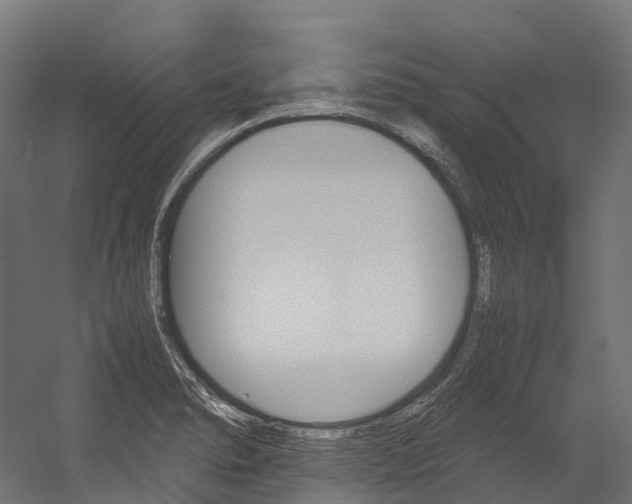 X0000054431278200507290942