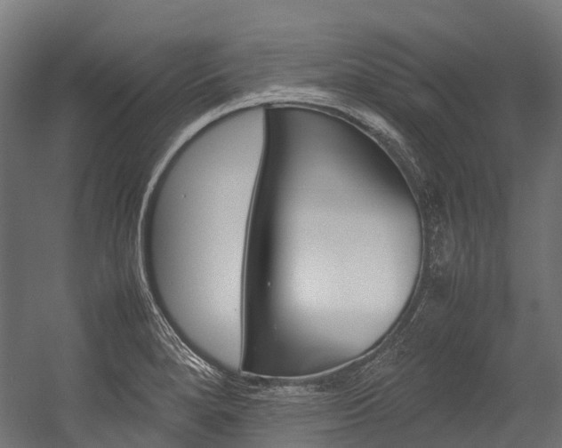 X0000054431280200507290942