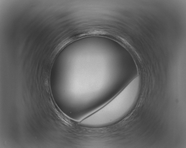 X0000054431281200507290942