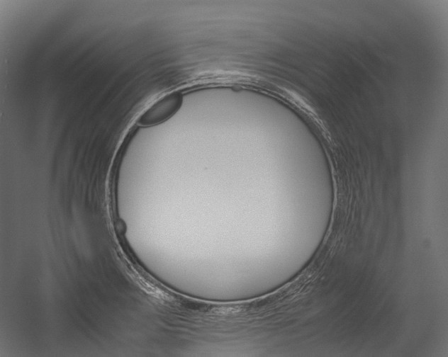 X0000054431283200507290942