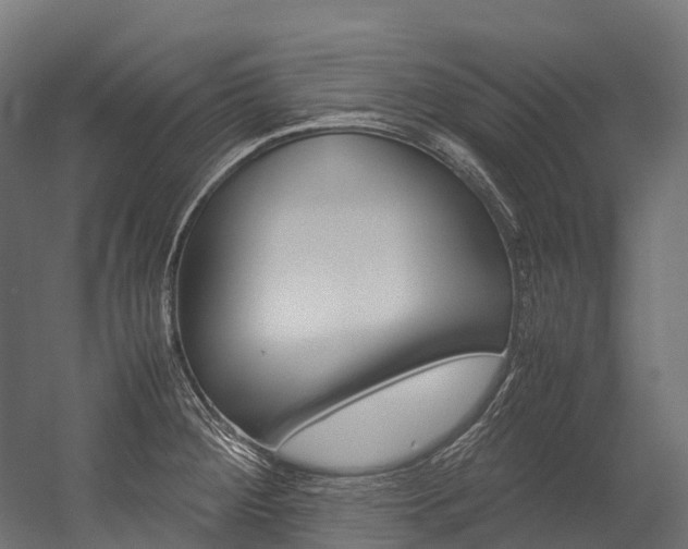 X0000054431284200507290942