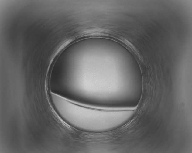 X0000054431285200507290942