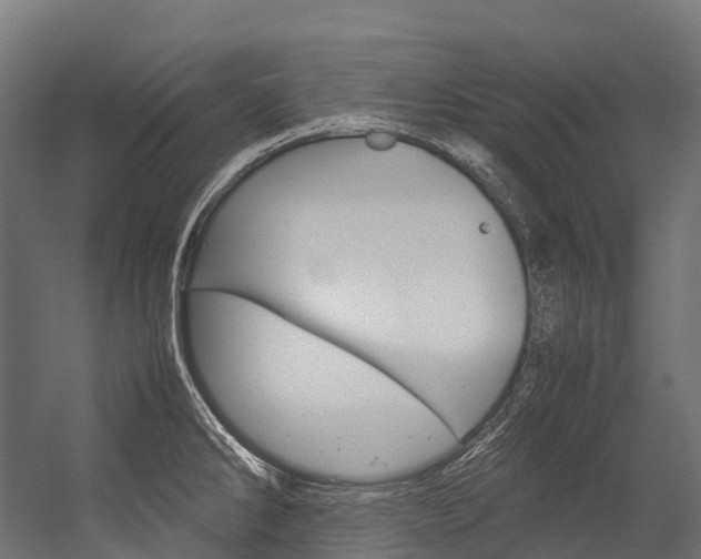 X0000054431286200507290942