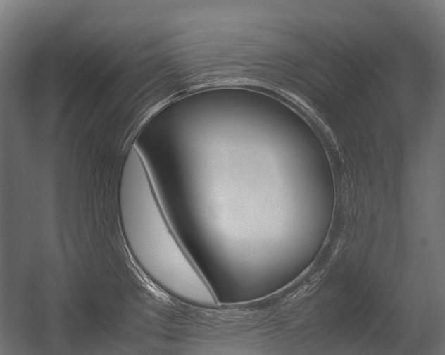 X0000054431289200507290942