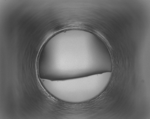 X0000054431291200507290942