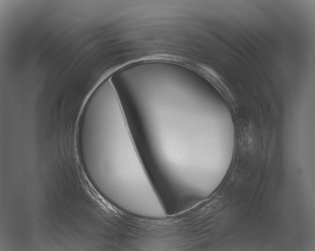 X0000054431292200507290942