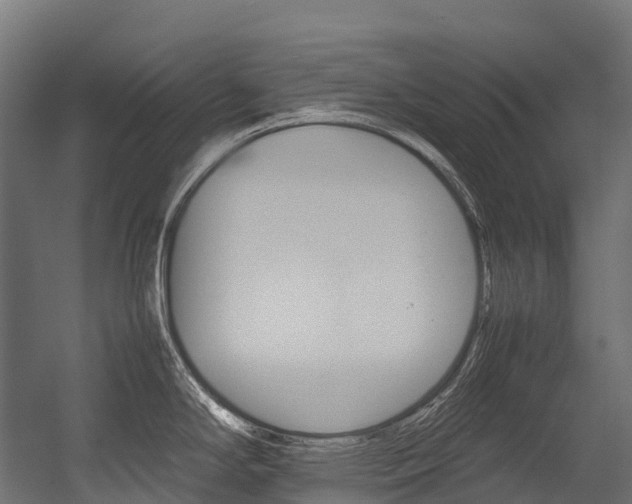 X0000054431294200507290942