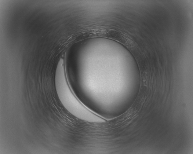 X0000054431298200507290941