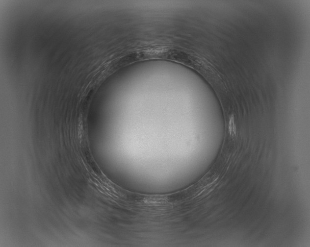 X0000054431299200507290941