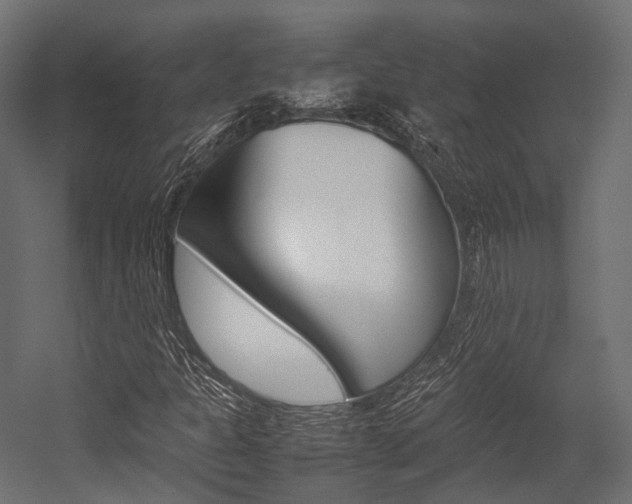 X0000054431301200507290941