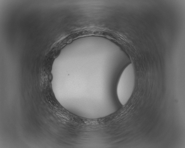 X0000054431302200507290941