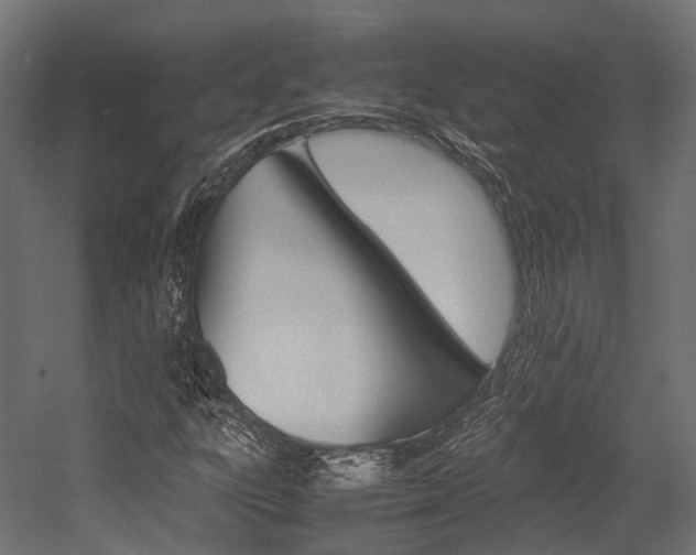 X0000054431303200507290941