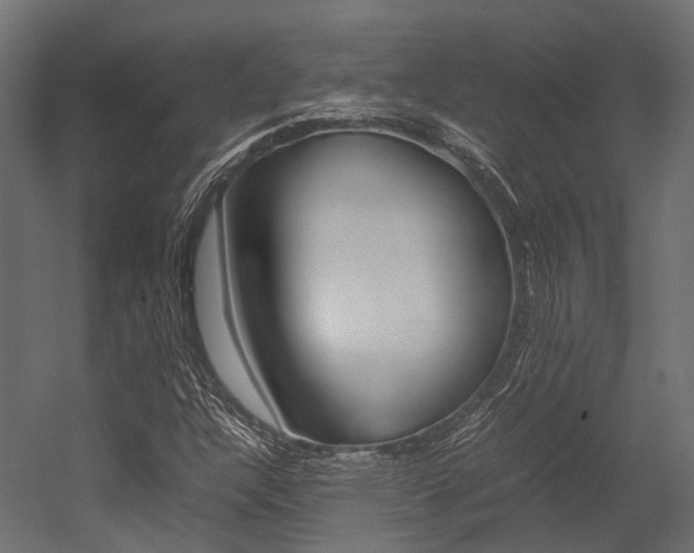 X0000054431304200507290941