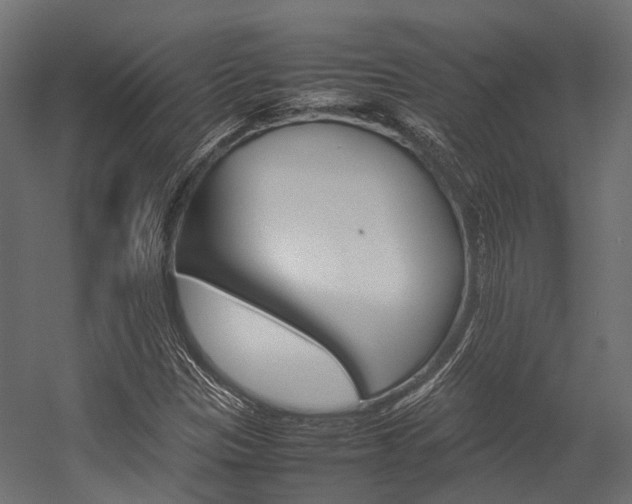 X0000054431305200507290941