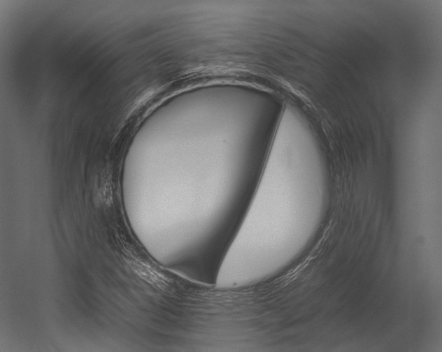 X0000054431306200507290941