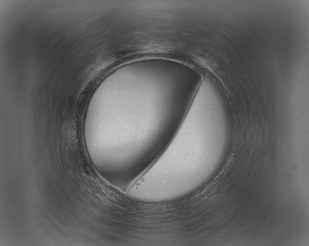 X0000054431307200507290941