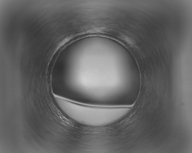 X0000054431308200507290941