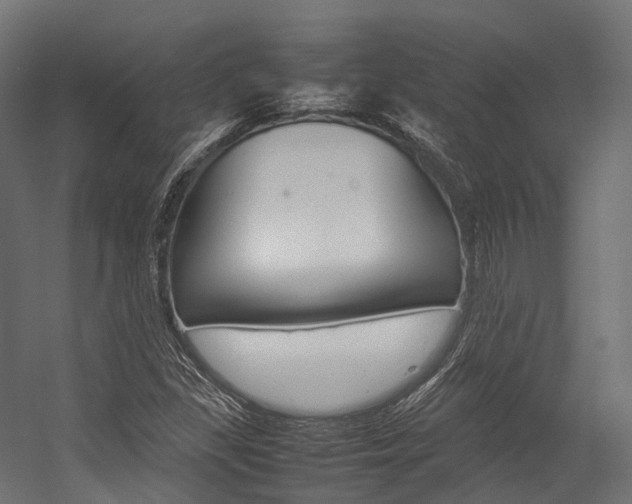 X0000054431309200507290941