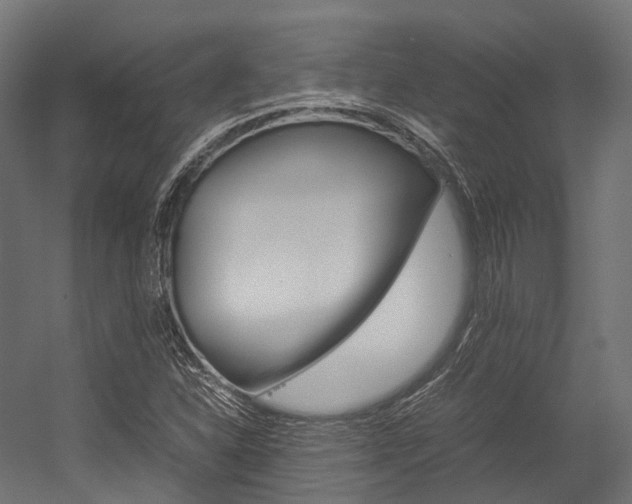 X0000054431310200507290941