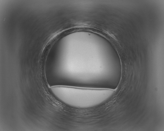 X0000054431311200507290941