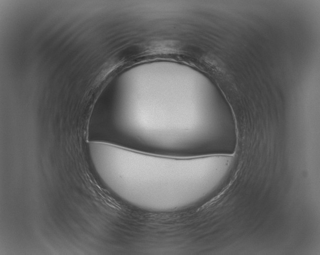 X0000054431313200507290941