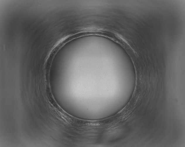 X0000054431315200507290941