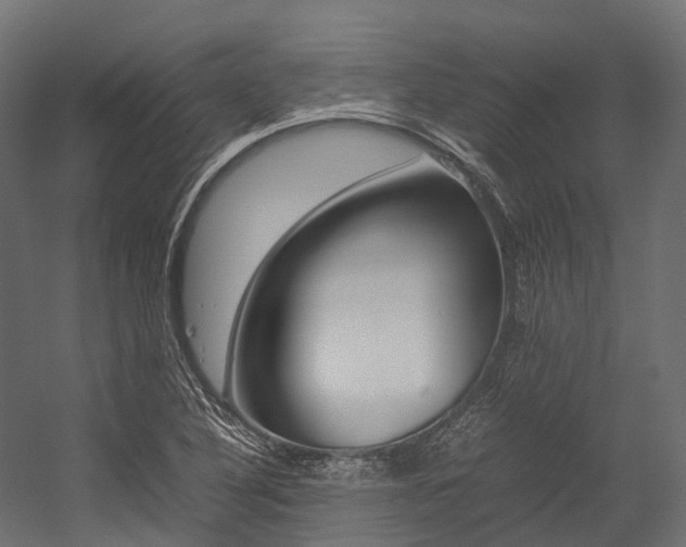 X0000054431316200507290941