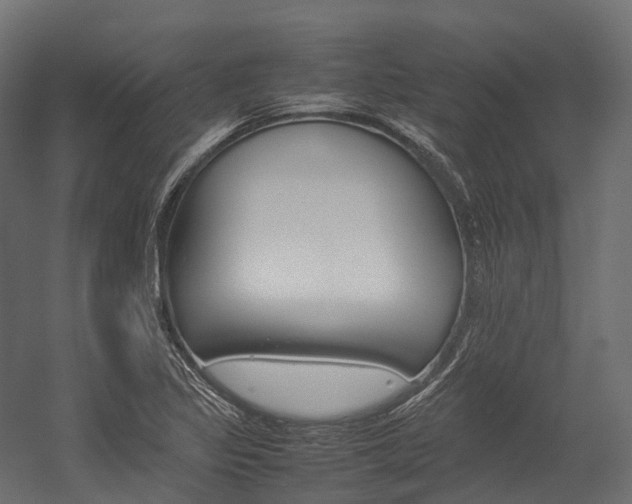 X0000054431317200507290941
