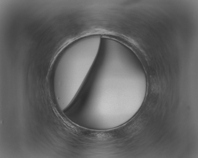 X0000054431318200507290942