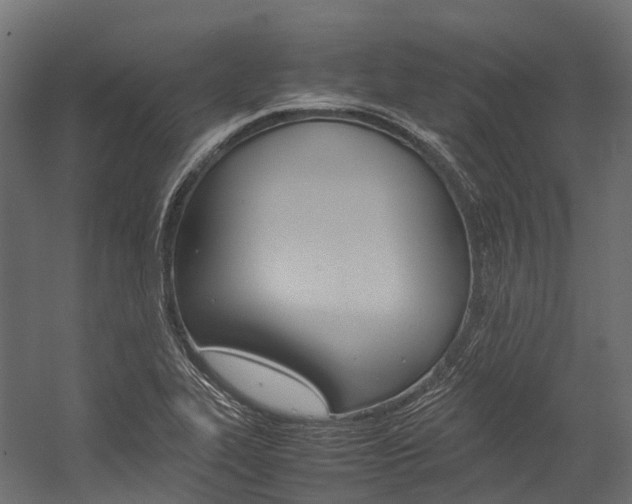 X0000054431319200507290942